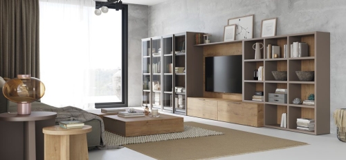 Meuble de salon avec une grande bibliothèque vitrée.